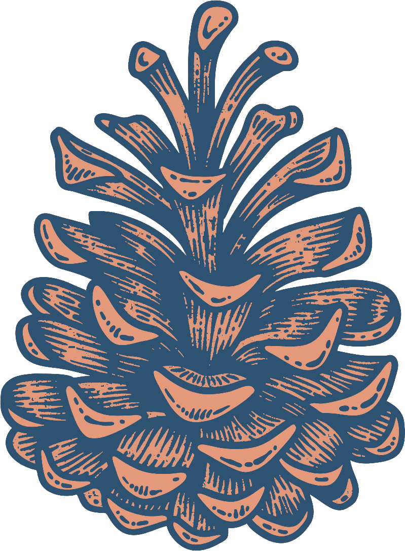 orange and blue drawing of a pine cone